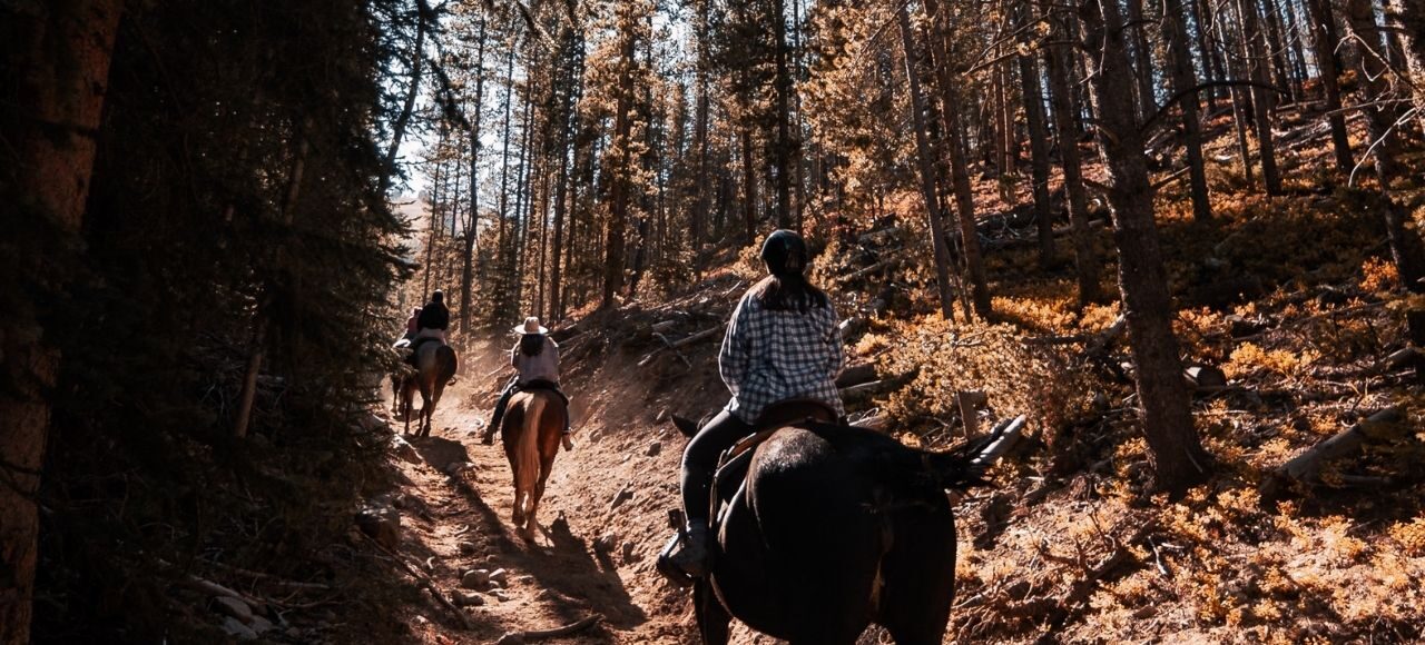 11colorado attractions