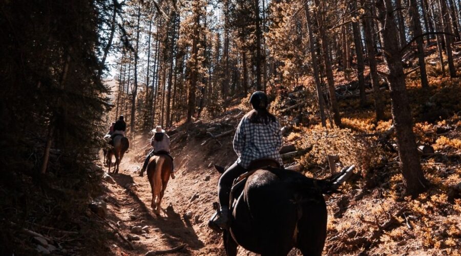 colorado attractions